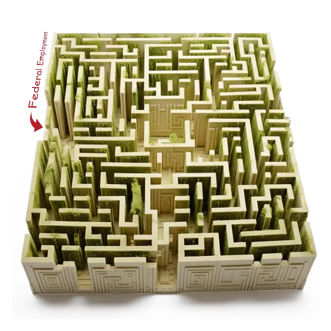 A complex maze with the words 'Federal Employment' drawn above the entrance.